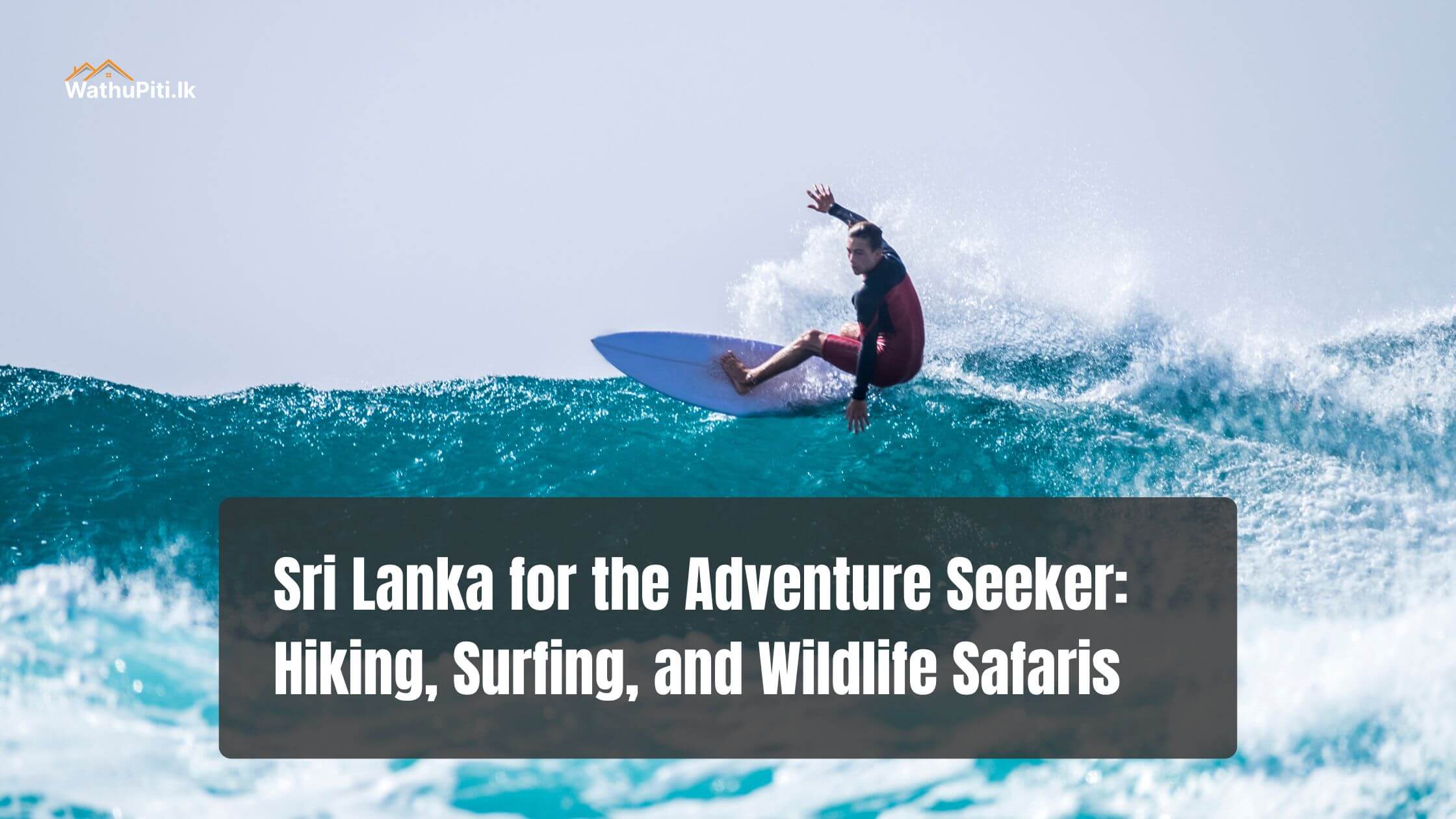Sri Lanka for the Adventure Seeker: Hiking, Surfing, and Wildlife Safaris