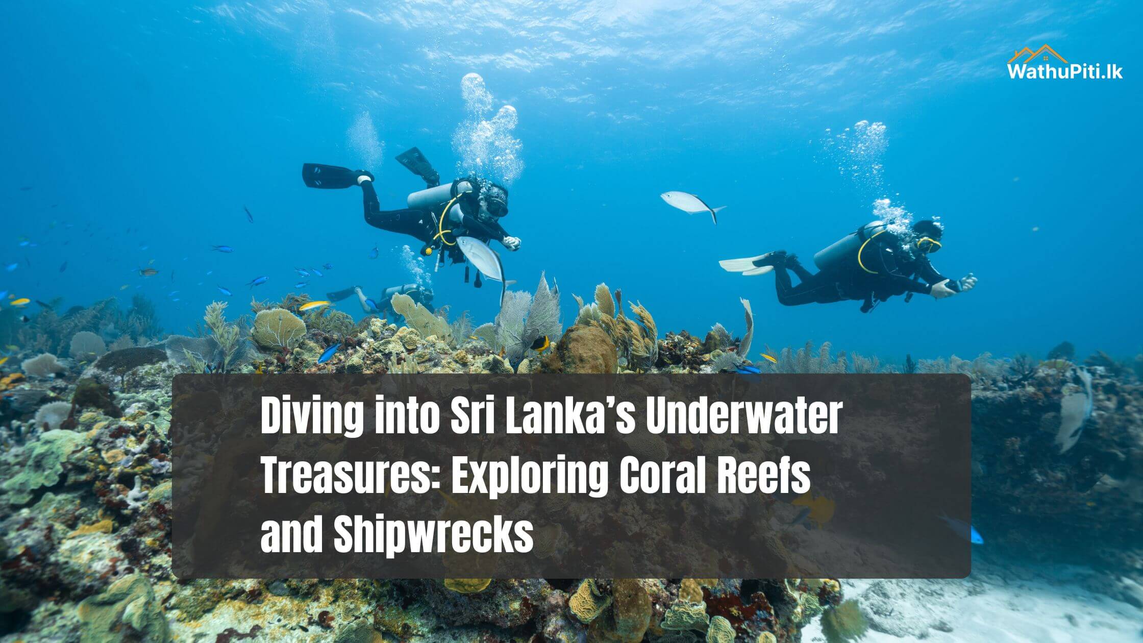 Diving into Sri Lanka’s Underwater Treasures: Exploring Coral Reefs and Shipwrecks