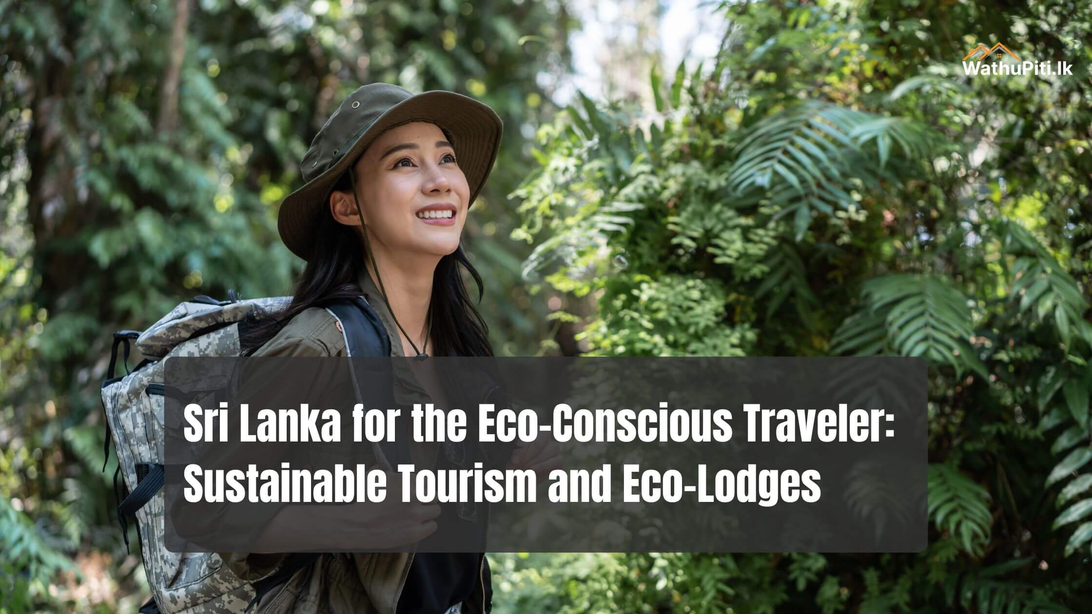 Sri Lanka for the Eco-Conscious Traveler: Sustainable Tourism and Eco-Lodges